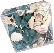 Didiseaon 1pc Sea Shell Diffuser Scents Scallop Sea Shells Drinks Bud Teal Fruit Beach Seaside Bowl Large Sea Shells Centerpiece Green Jasmine Dried Flowers Scented Decoration
