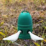 2Pcs Pigeon Drinker Waterer Feeder 10L Bird Feeding Drinker for Quail Parrot