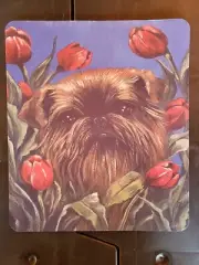 Brussels Griffon Mouse Pad-Hot Pad-Trivet-Caroline’s Treasures-9.5 x 0.25 x 8