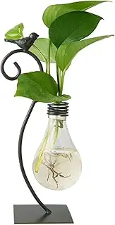 Marbrasse Desktop Glass Planter Hydroponics Vase,Planter Bulb Vase with Holder for Home Decoration,Modern Creative Bird Plant Terrarium Stand, Scindapsus Container (Bulb Vase)