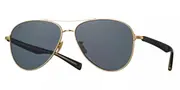 Eyevan Paragon G/PBK Men's Sunglasses Gold Size 58