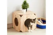 Kitten Stool