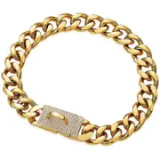 Stainless Steel Gold Dog Chain