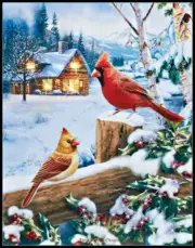 Lighted Cardinals on Snowy Fence - Counted Cross Stitch Patterns Needlework
