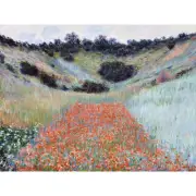 Claude Monet Poppy Field In A Hollow Near Giverny Large Canvas Art Print