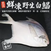 在飛比找蝦皮商城優惠-鮮嫩野生白鯧魚2尾組(每尾220g-280g)【海陸管家】滿