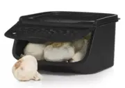 Tupperware Garlic N All Keeper