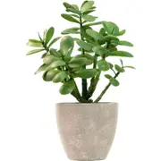 365 Blooming Decor Artificial Potted Jade Plant-Luxury Faux Succulent for Home, Office, Book Shelf Decoration