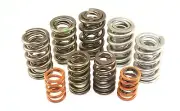 Engine Valve Spring Kit-Valve Spring Set ISKY fits 1946 Ford Anglia 1.2L-L4