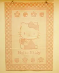 在飛比找樂天市場購物網優惠-【震撼精品百貨】Hello Kitty 凱蒂貓 家具-地墊-