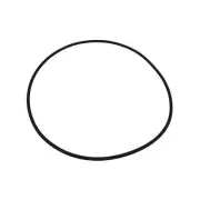 Lid O-ring For Astral Hurlcon ZX250 10045 78094 Tank Cartridge Filter Oring Only