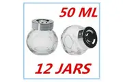 12 x MINI CLEAR GLASS SPICE JAR JARS WITH SILVER LIDS 50ML KITCHEN STORAGE PARTY