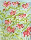 PAINTING WATERCOLOR 11X14 AND MAT 16X20 FLOWER ASTER PINK RED GREEN ORGINAL ART