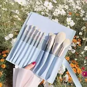Makeup Brushes,Makeup Brush Set,10 PCS Travel Make Up Brush Kit,Cosmetic Brushes for Face Foundation Blush Eye Shadow with Storage bag(Light Blue)