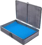 CSTAL Instruments Sterilization Basket Tray, 304 Stainless Steel Disinfection Case with Lid, 270×180×50 MM