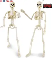 2 Pack Halloween Skeleton Decorations - 16" Poseable Skeletons with Full Body