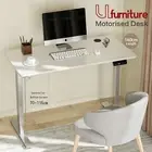 140*60cm Electric Standing Desk Height Adjustable Ergonomic Sit Stand Up Desks