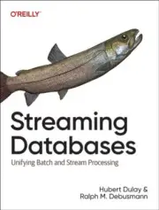 Streaming Databases by Raplh Matthias Debusmann 9781098154837 NEW