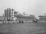 Horse Racing Finish of The Beckhampton Stakes which saw Sir Trustr- Old Photo