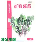 種子王國 紅寶菠菜 【蔬果種子】興農種苗 產地：日本 每包約3公克 健康蔬菜 產量高 風靡歐美 如涼拌、沙拉和火鍋配料用