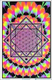 Sacred Geometry Blacklight Poster 23 x 35