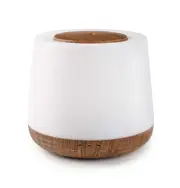 Aroma Home Diffuser By Lively Living