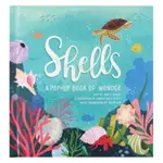 四季立體書 夏天的貝殼 SHELLS A POP UP BOOK OF WONDER 英文 童書 繪本