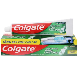 高露潔牙膏防止強蛀牙 250g