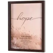 Plans I Have Jeremiah 29:11 - 13 x 17 Inch MDF Wood Glass & Shadowbox Block Sign