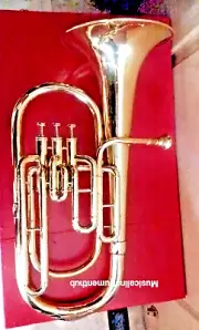BARITONE MADE OF PURE BRASS IN GOLDEN POLISH +HARD CUSHION CASE+ FREE SHIPPING