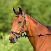 Excelsior Unisex's 301060118 V Bridle, Havana, One Size