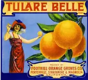 Porterville Strathmore Tulare Belle Orange Citrus Fruit Crate Label Art Print