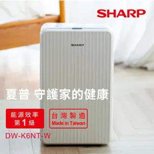 【SHARP 夏普】一級能效6公升高效除濕機+恆溫烘鞋機(DW-K6NT-W)