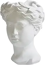 Flowerpot Resin Planter Pot Lady Face Plant Pots Home Decor Greek Mythology Plant Pot Floral Decor Human Face Home Vase Face Succulents Pots Office Applique Nordic White