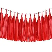 20pcs Shiny Tassel Garland Banner Tissue Paper Tassels for Party Red