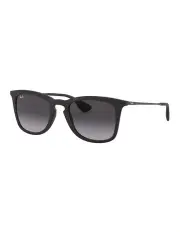 [Ray-Ban] RB4221 Black Sunglasses