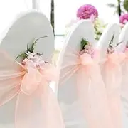 BITFLY 100 x Organza Decorative Ribbon Chair Bow, Chair Band, Sash, for Weddings, Parties, Banquets, Decoration, 30 Colours, 18 x 275 cm, Peach