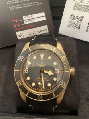 TUDOR 帝舵 79250 BA 全新23/10現貨 青銅錶 石板灰色面 潛水錶 43mm WS894