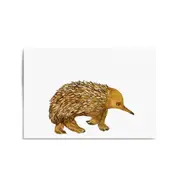 Australian Echidna Painting Animal Nursery Wall Art