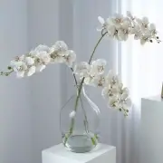 Artificial Orchid 9 Head - Minimalist Fake Flowers for Event, Home Decor