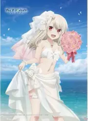 [Tapestry Wall scroll] Illyasviel Fate/kaleid liner Prisma Illya B2 size New