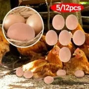 5-12PC Plastic Fake Chicken Egg Poultry Layer Coop Hatching Simulation Dummy Egg