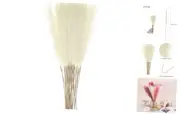 20pcs Dried Faux Pampas Grass 21 Inch Artificial Fake Fluffy Pampas Beige