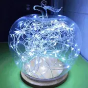 White 10M Copper Wire 100 LEDs String Fairy Light Xmas Tree Bedroom Decor IP65