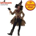 CK2795 Hay Grrl Scarecrow Girls Halloween Horror Wizard of OZ Book Week Costume