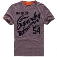 在飛比找Yahoo奇摩購物中心優惠-SUPERDRY 極度乾燥 男 T恤 灰色 1648