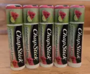 Chapstick - WATERMELON LIME Lip Balm - New LOT of 5