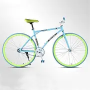 Dead Fly Bicycle, Brake, Light Bicycle