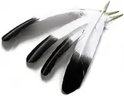 YUMAO 10-12inch 25-30cm Turkey Wing Quill Feather Black Tipped Imitation Eagle Feathers for Crafts Jewelry Making DIY Plumas 0216 (Size : 50 Pcs)