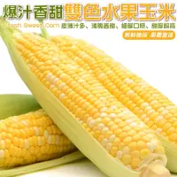 在飛比找momo購物網優惠-【WANG 蔬果】雙色水果玉米10斤x1箱(農民直配)